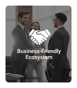 Business-Friendly Ecosystem